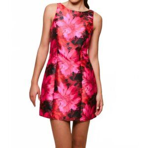Brand New Hutch Ren Sleeveless V-Back Mini Dress